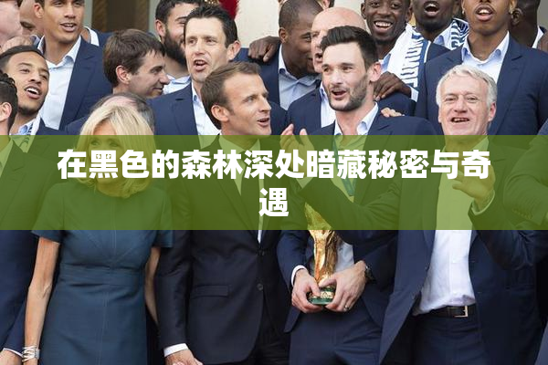 在黑色的森林深处暗藏秘密与奇遇