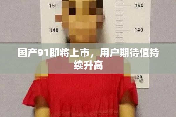 国产91即将上市，用户期待值持续升高