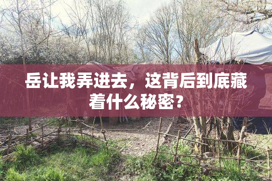 岳让我弄进去，这背后到底藏着什么秘密？