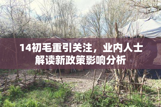 14初毛重引关注，业内人士解读新政策影响分析