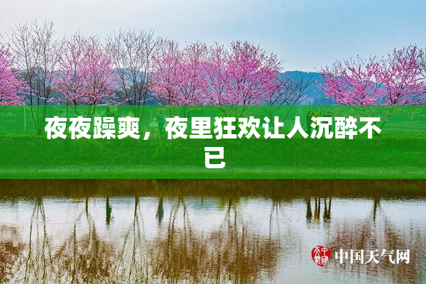 夜夜躁爽，夜里狂欢让人沉醉不已