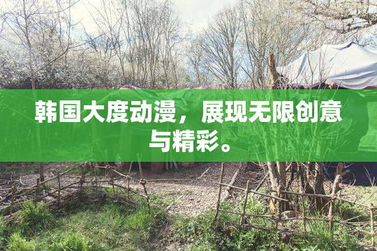韩国大度动漫，展现无限创意与精彩。