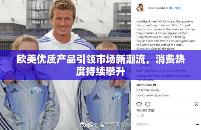 欧美优质产品引领市场新潮流，消费热度持续攀升