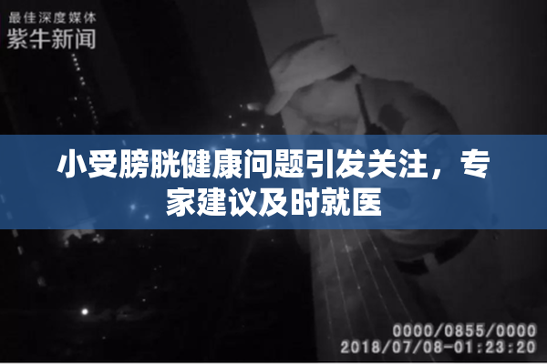 小受膀胱健康问题引发关注，专家建议及时就医