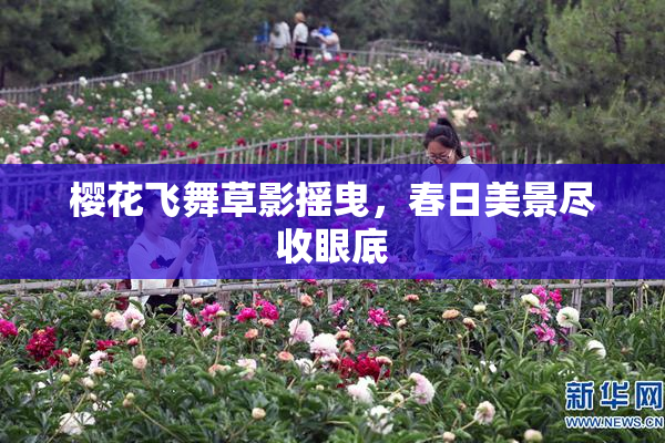 樱花飞舞草影摇曳，春日美景尽收眼底