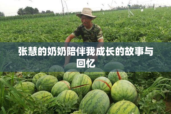 张慧的奶奶陪伴我成长的故事与回忆