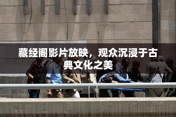 藏经阁影片放映，观众沉浸于古典文化之美