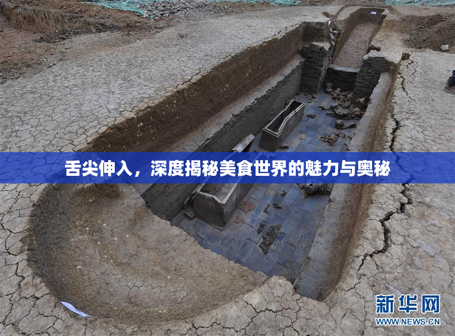 舌尖伸入，深度揭秘美食世界的魅力与奥秘