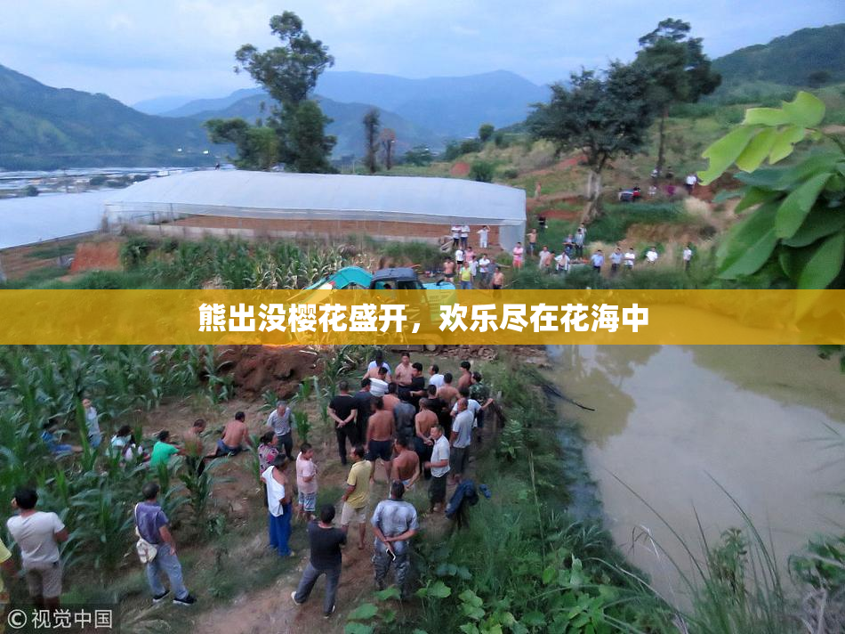 熊出没樱花盛开，欢乐尽在花海中