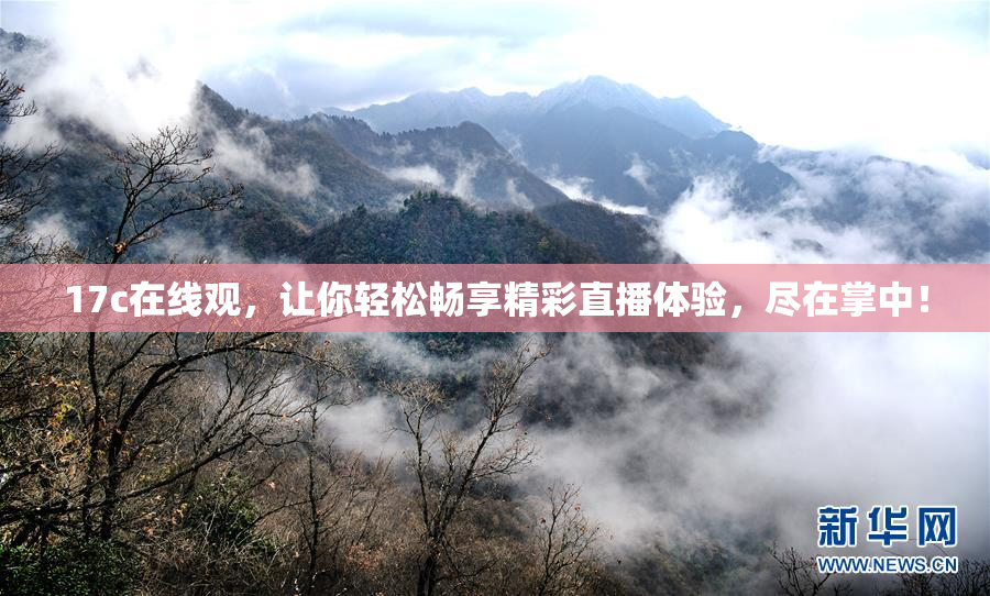 17c在线观，让你轻松畅享精彩直播体验，尽在掌中！