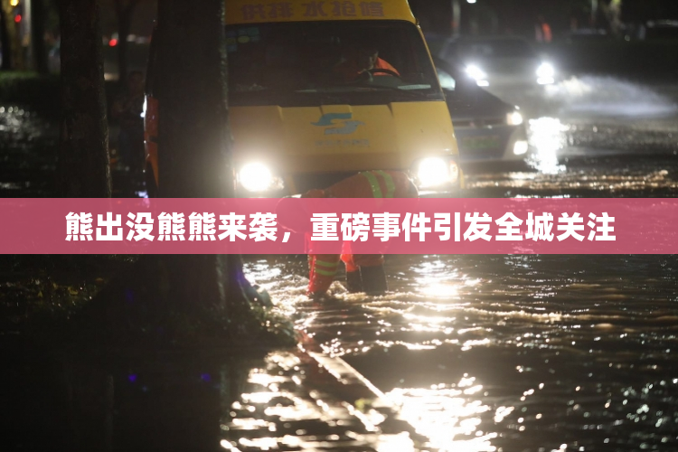 熊出没熊熊来袭，重磅事件引发全城关注