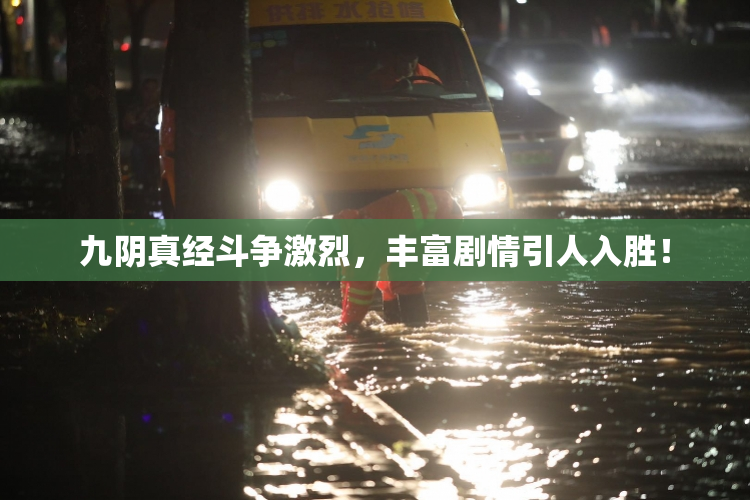 九阴真经斗争激烈，丰富剧情引人入胜！