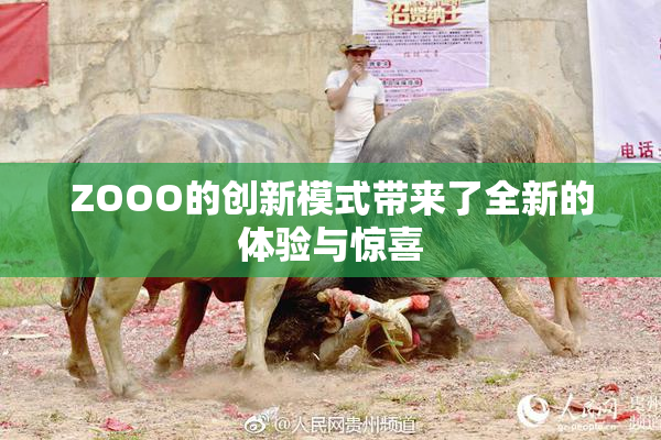ZOOO的创新模式带来了全新的体验与惊喜