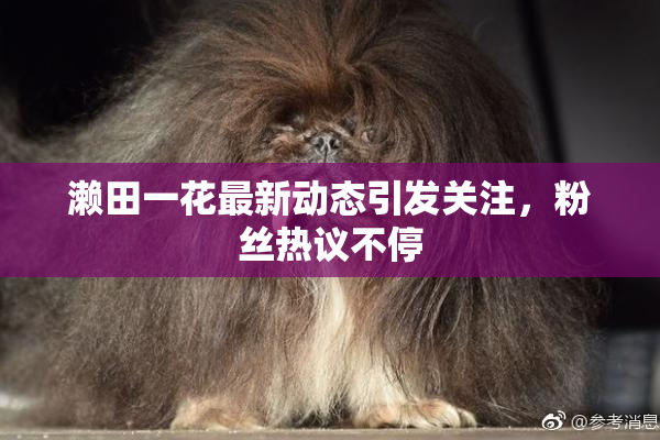 濑田一花最新动态引发关注，粉丝热议不停