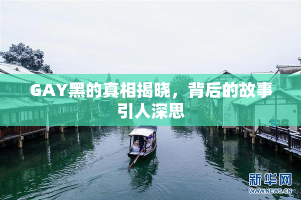 GAY黑的真相揭晓，背后的故事引人深思
