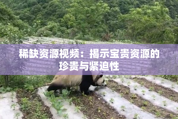 稀缺资源视频：揭示宝贵资源的珍贵与紧迫性