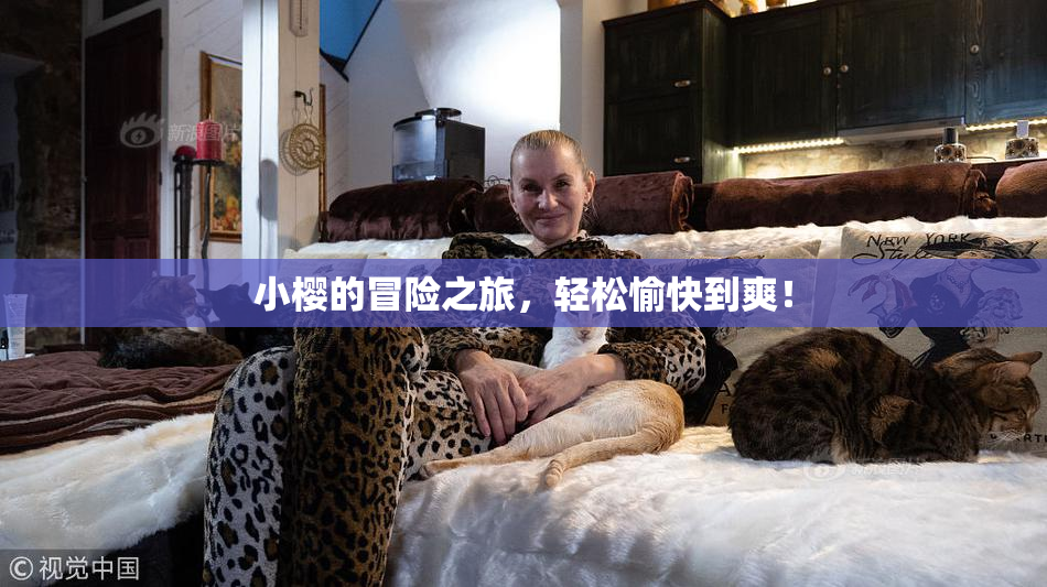 小樱的冒险之旅，轻松愉快到爽！