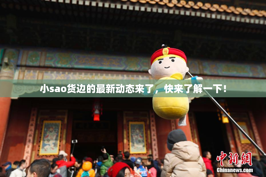小sao货边的最新动态来了，快来了解一下！