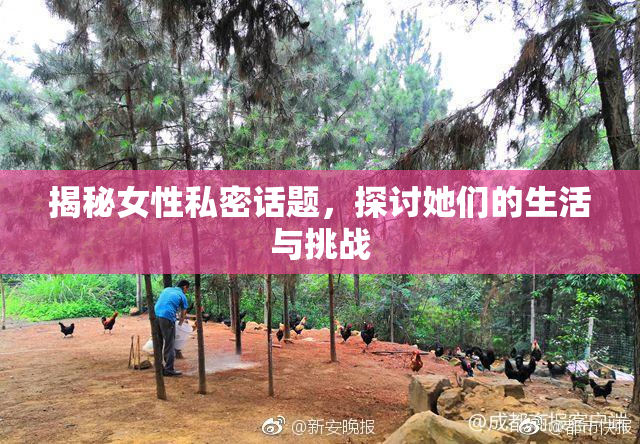 揭秘女性私密话题，探讨她们的生活与挑战