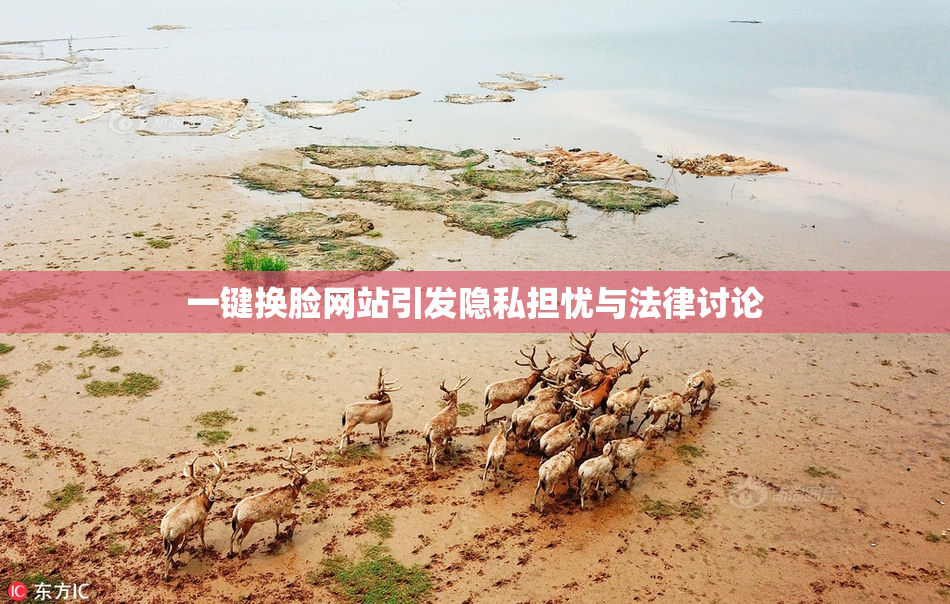 一键换脸网站引发隐私担忧与法律讨论