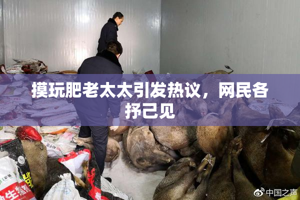 摸玩肥老太太引发热议，网民各抒己见