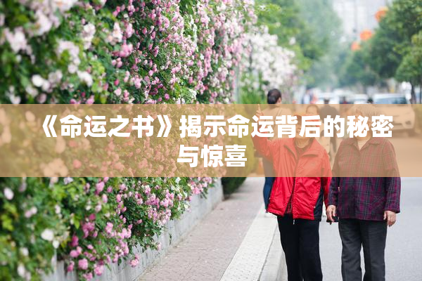 《命运之书》揭示命运背后的秘密与惊喜