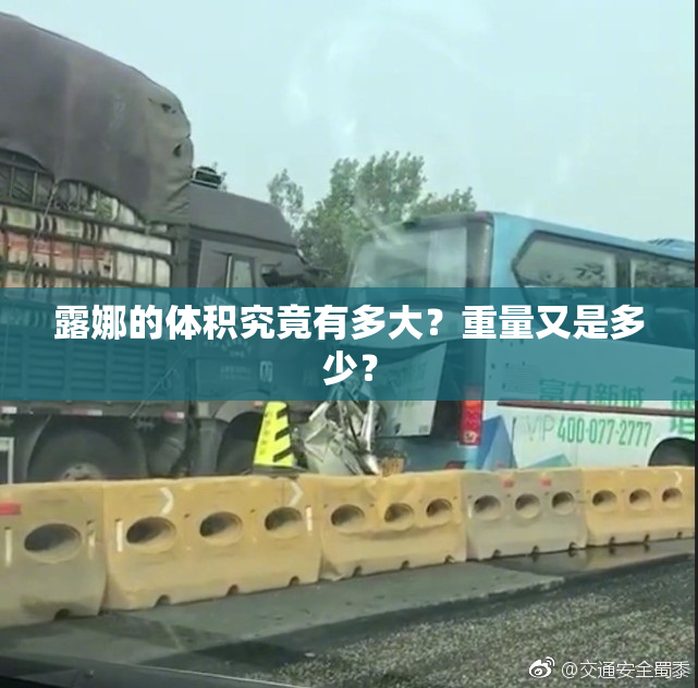 露娜的体积究竟有多大？重量又是多少？