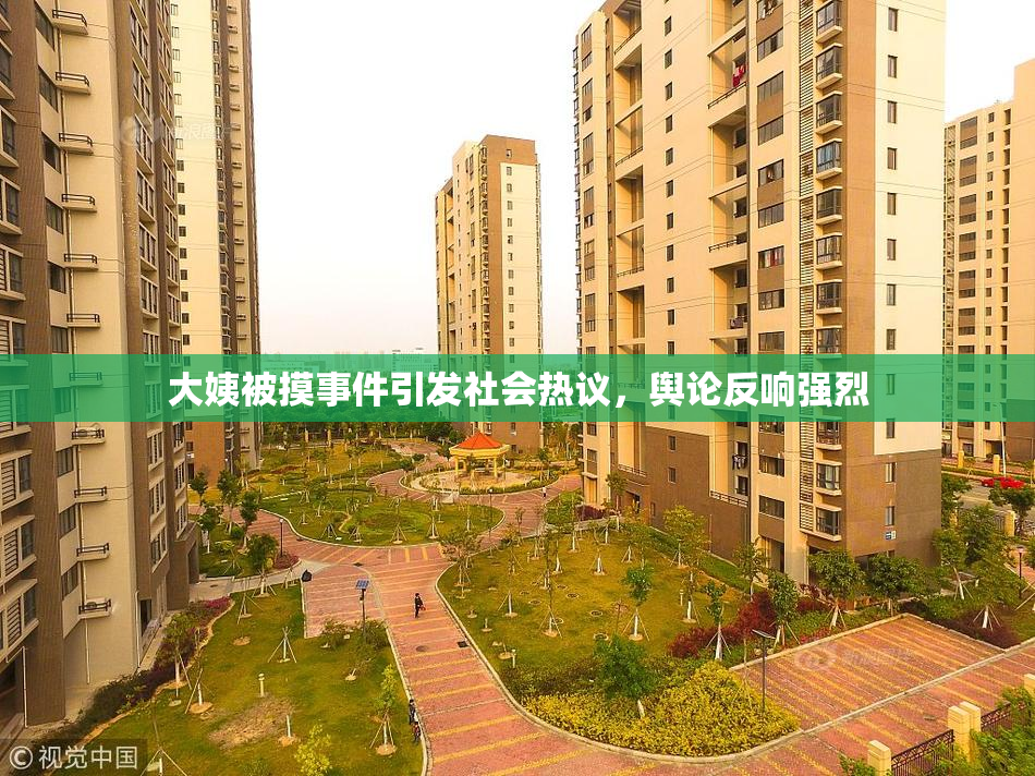 大姨被摸事件引发社会热议，舆论反响强烈