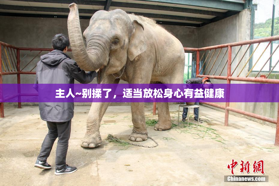 主人~别揉了，适当放松身心有益健康