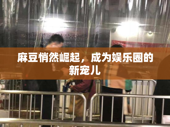 麻豆悄然崛起，成为娱乐圈的新宠儿