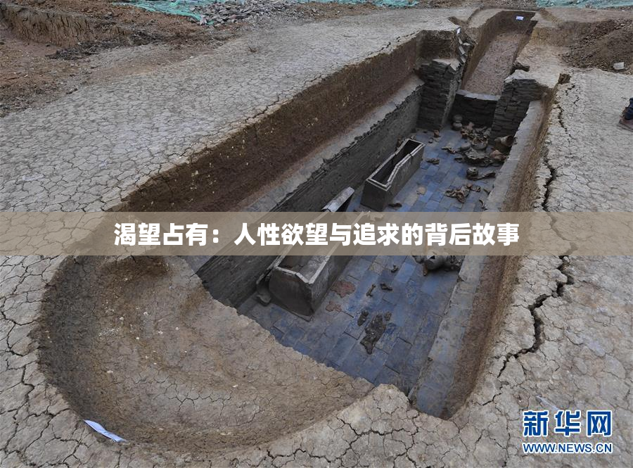 渴望占有：人性欲望与追求的背后故事