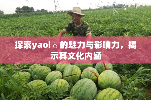 探索yaoi♂的魅力与影响力，揭示其文化内涵