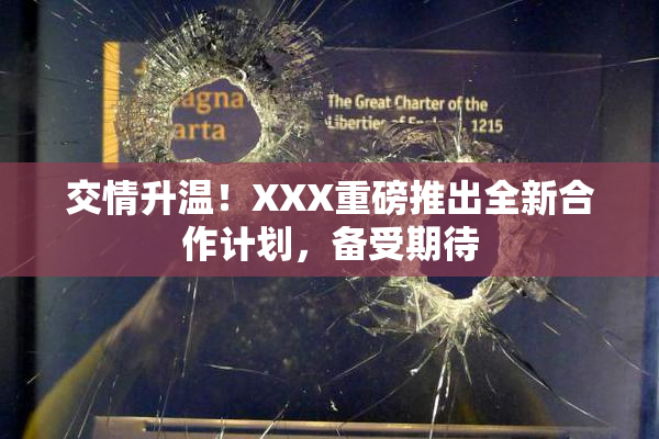 交情升温！XXX重磅推出全新合作计划，备受期待
