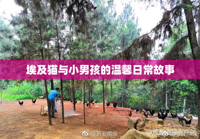 埃及猫与小男孩的温馨日常故事
