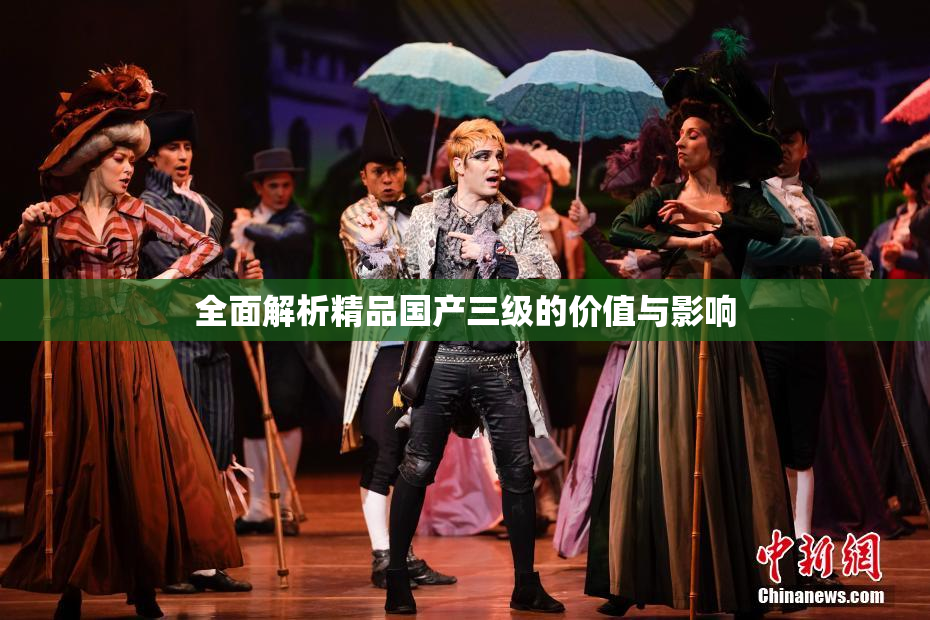 全面解析精品国产三级的价值与影响