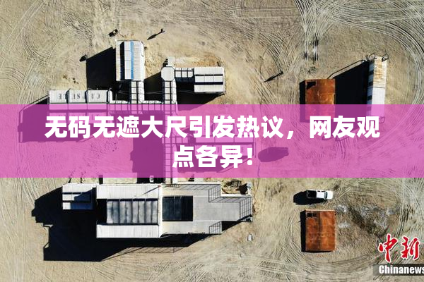 无码无遮大尺引发热议，网友观点各异！