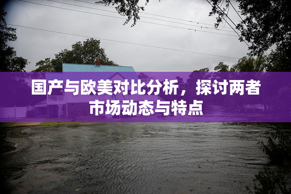 国产与欧美对比分析，探讨两者市场动态与特点