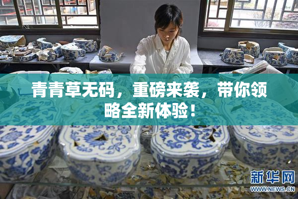 青青草无码，重磅来袭，带你领略全新体验！