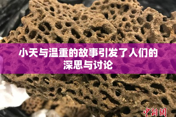 小天与温重的故事引发了人们的深思与讨论
