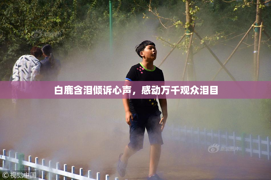 白鹿含泪倾诉心声，感动万千观众泪目