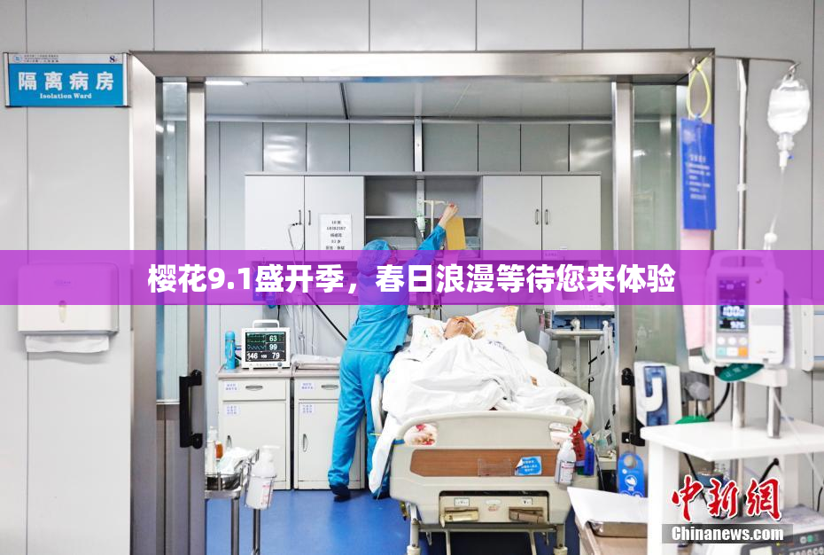 樱花9.1盛开季，春日浪漫等待您来体验