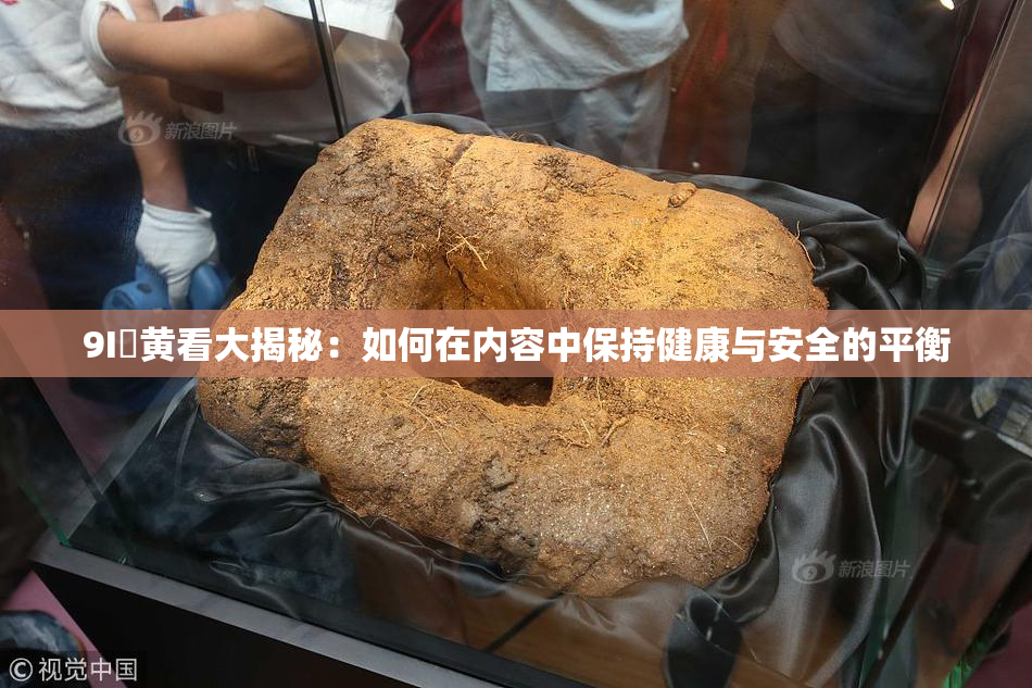 9I婬黄看大揭秘：如何在内容中保持健康与安全的平衡