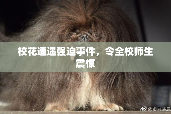 校花遭遇强迫事件，令全校师生震惊