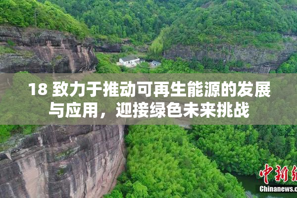 18 致力于推动可再生能源的发展与应用，迎接绿色未来挑战