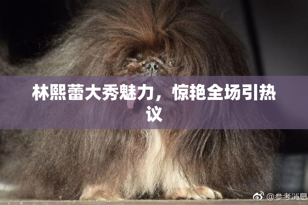 林熙蕾大秀魅力，惊艳全场引热议
