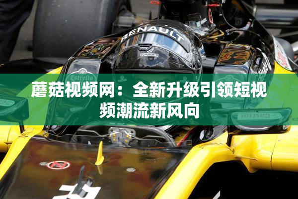 蘑菇视频网：全新升级引领短视频潮流新风向