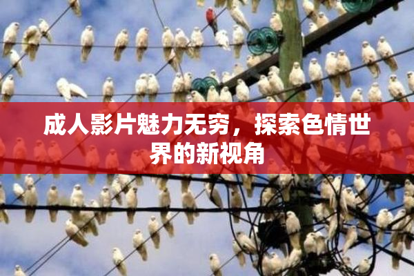 成人影片魅力无穷，探索色情世界的新视角