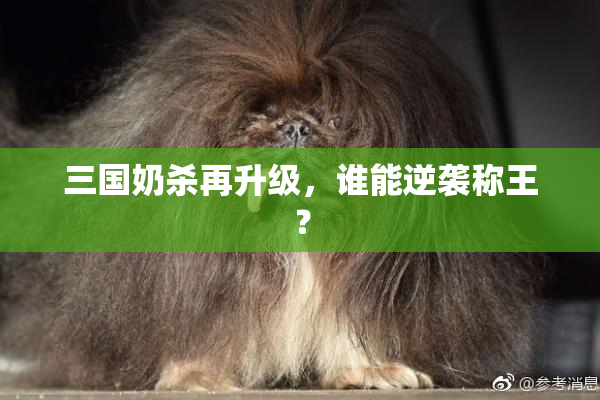 三国奶杀再升级，谁能逆袭称王？