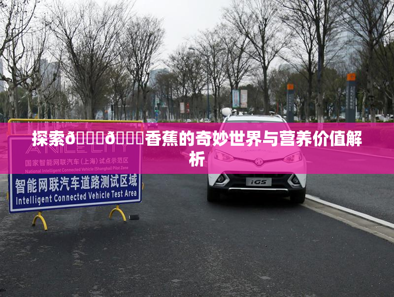 探索🔞🔞香蕉的奇妙世界与营养价值解析