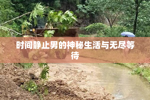 时间静止男的神秘生活与无尽等待